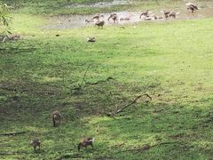 -北京麋鹿生态实验中心