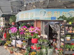 -溪岸路花鸟市场