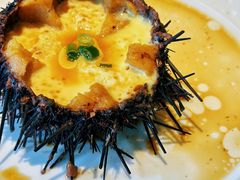 野生海胆蒸蛋-开海·红岛海鲜虾水饺(石老人店)