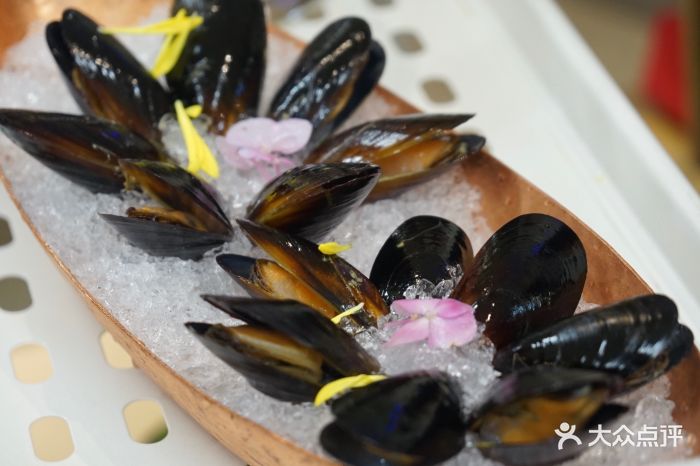 小红袍·花胶鲍鱼鸡(桐梓林店)新西兰超甜青口贝图片 - 第441张