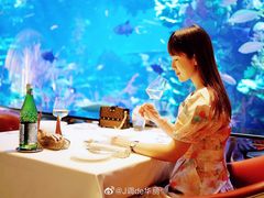 -迪拜帆船酒店海底餐厅