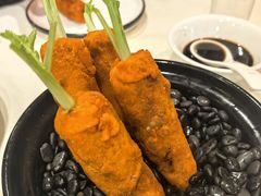 -丁老爷子苏香圆