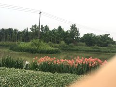 -桤木河湿地公园