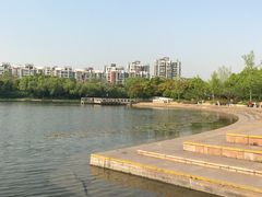 -新江湾城公园