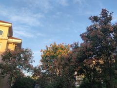 -上海东方佘山翰悦阁酒店·Vie全日制餐厅