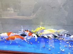 -中原麦购时代广场(南市店)