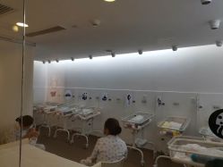 -海豚湾高端月子会所(黄浦店)