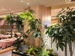 -西贝(国芳店)