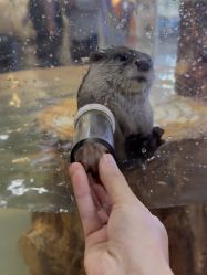 -Zoolung Zoolung动物主题公园(海信广场店)