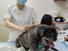 -美联众合动物医院·24h转诊中心