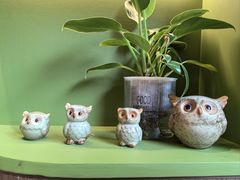 -小西家作(富力爱丁堡店)