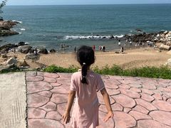 -广东惠东海龟国家级自然保护区