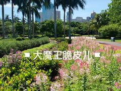 景点-万绿园