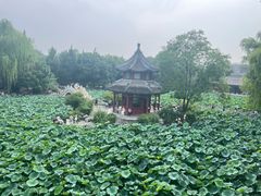 -莲池书院博物馆