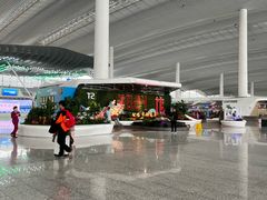 -广州白云国际机场-T2航站楼