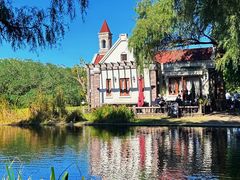 -上海共青森林公园