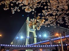 -上海南浦大桥长途旅游客运站