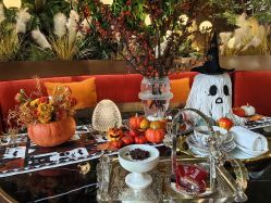 -花隐·美芙炫海菲秀皮肤管理中心