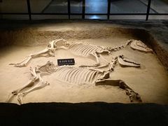 -洛阳周王城天子驾六博物馆