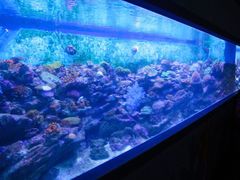 -成都浩海立方海洋公园