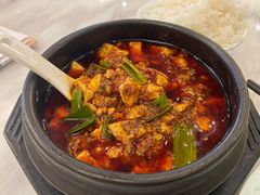 -陈麻婆豆腐总店