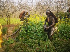 -合肥滨湖国家森林公园