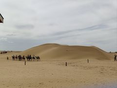 -银肯塔拉沙漠生态旅游景区