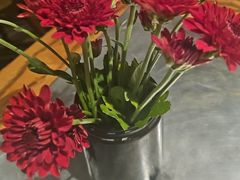 -Apollo·西班牙小酒馆(安福路店)