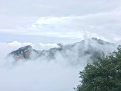 -少华山国家森林公园