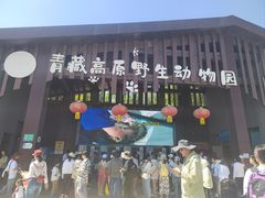 -青藏高原野生动物园