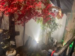 -湘厨壹品(芙蓉广场店)