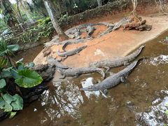 -海南热带野生动植物园