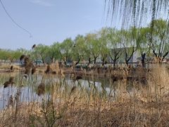 -济南大明湖景区