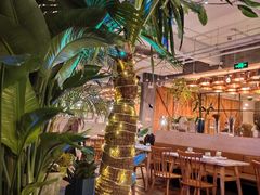 -the rug 飞毯 (朝阳公园店)