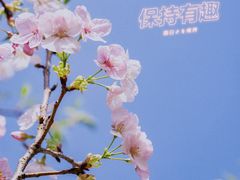 -龙凤山庄影视度假村