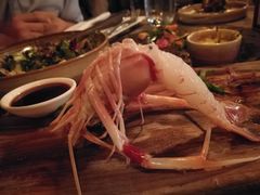 -斯普汇生蚝牛排馆(中骏世界城店)