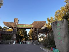 -溱湖国家湿地公园