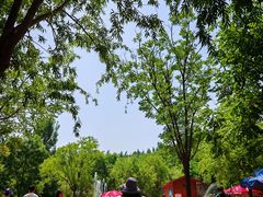 -西部长青自然儿童乐园