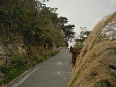 -羚羊峡古栈道森林公园