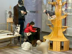 -BABIT巴比特宠物(MOMOPARK店)