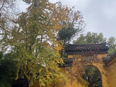 -西园戒幢律寺