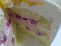 -维尔纳斯·生日蛋糕·动物奶油冰淇淋蛋糕(六里桥店)