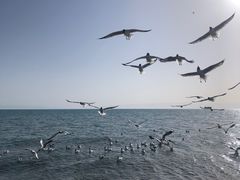 -青海湖二郎剑景区