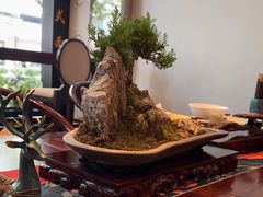 -苏面斋·本地传统苏式面馆