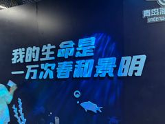 -日照海滨国家森林公园