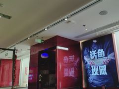 -老板恋上鱼(恒隆广场店)