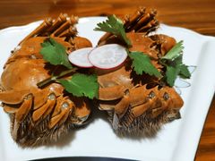 -呼吸森林·生态农庄农家乐私房菜