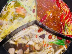 -蜀大侠火锅(森兰花园城店)