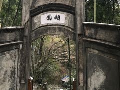 -莫干山风景区