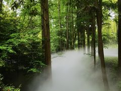 -东明山森林公园